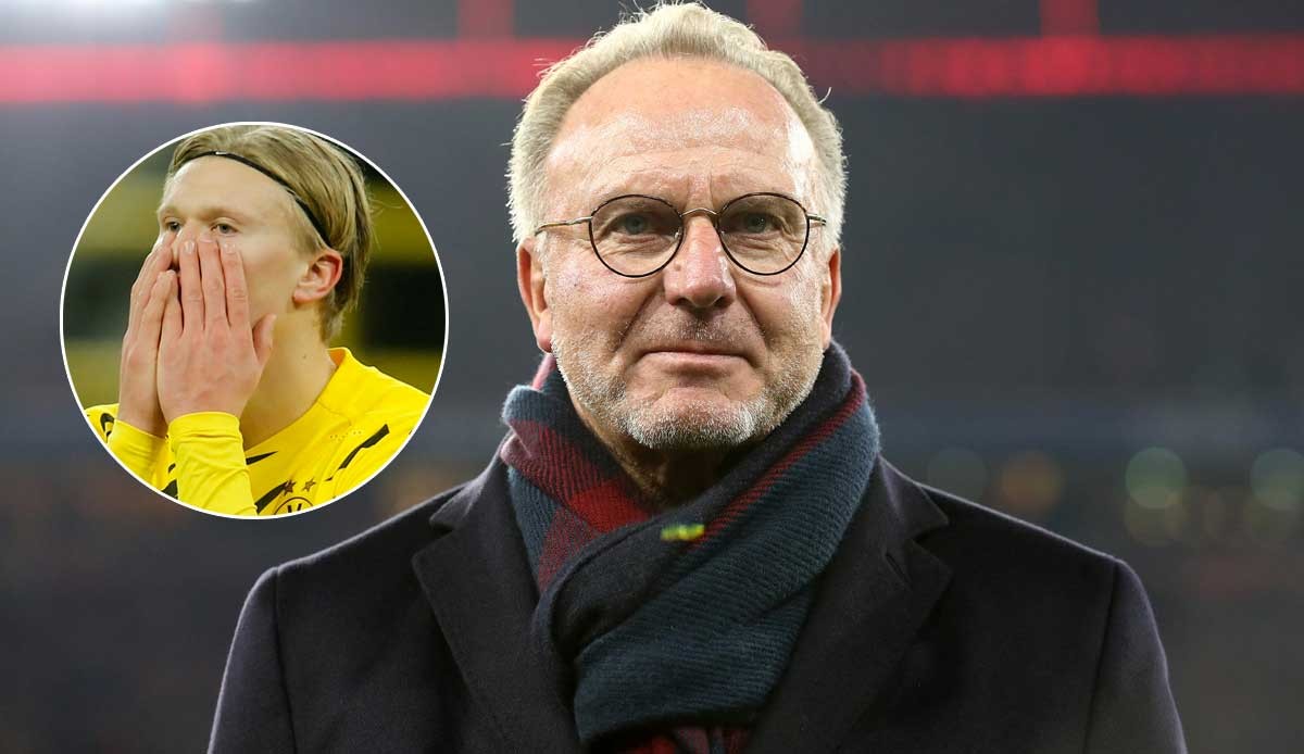 轮的小组赛 轮的小组赛